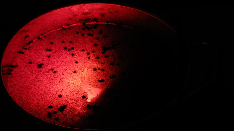 bob seng lisa hein room