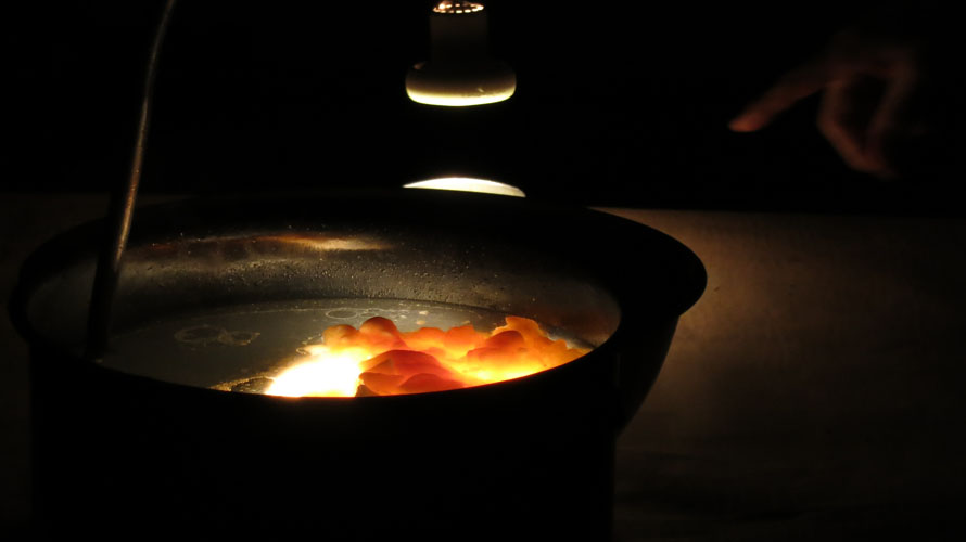 bob seng lisa hein room